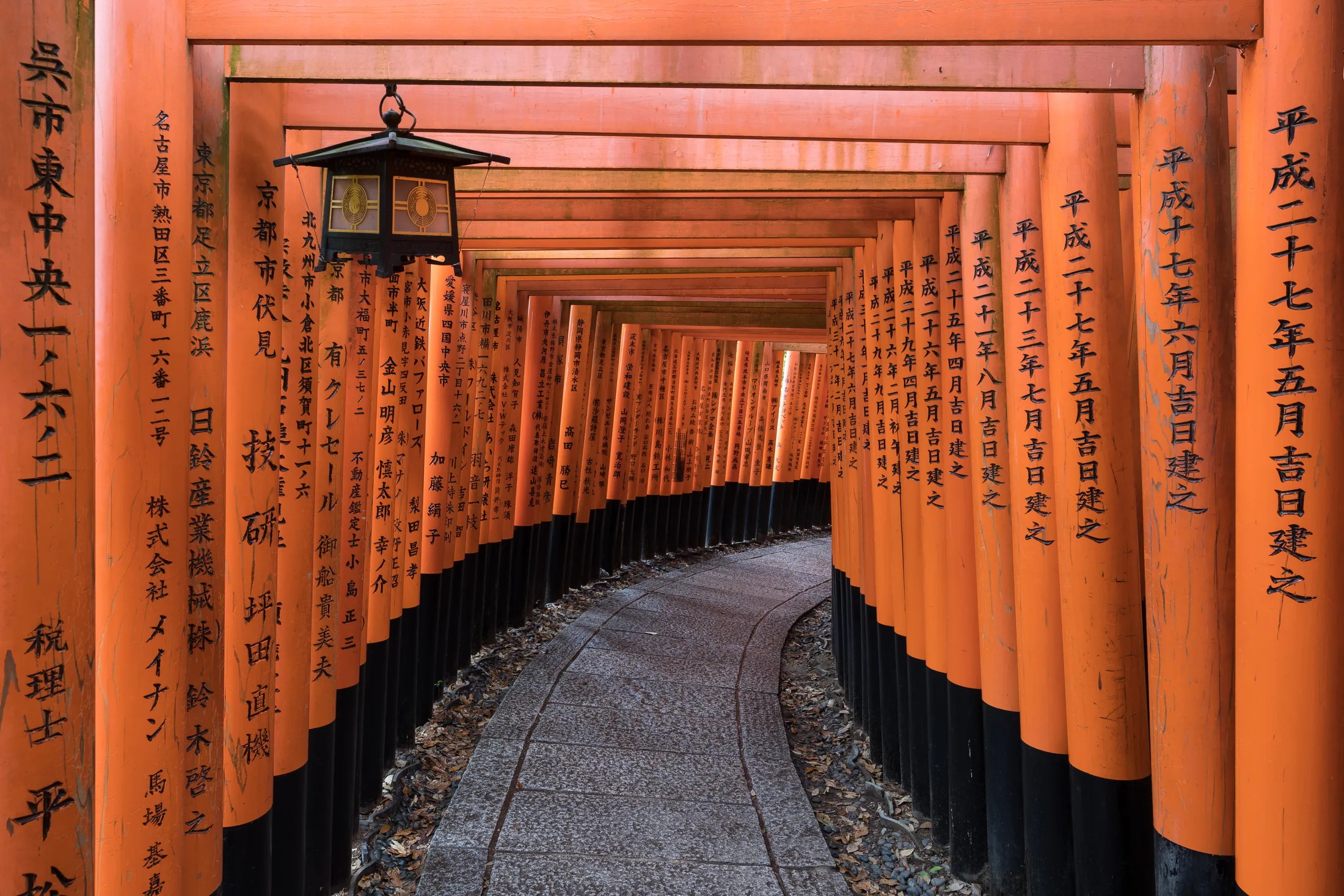 Pfad aus tausenden zinnoberroten Torii am Fushimi Inari-Taisha in Kyoto