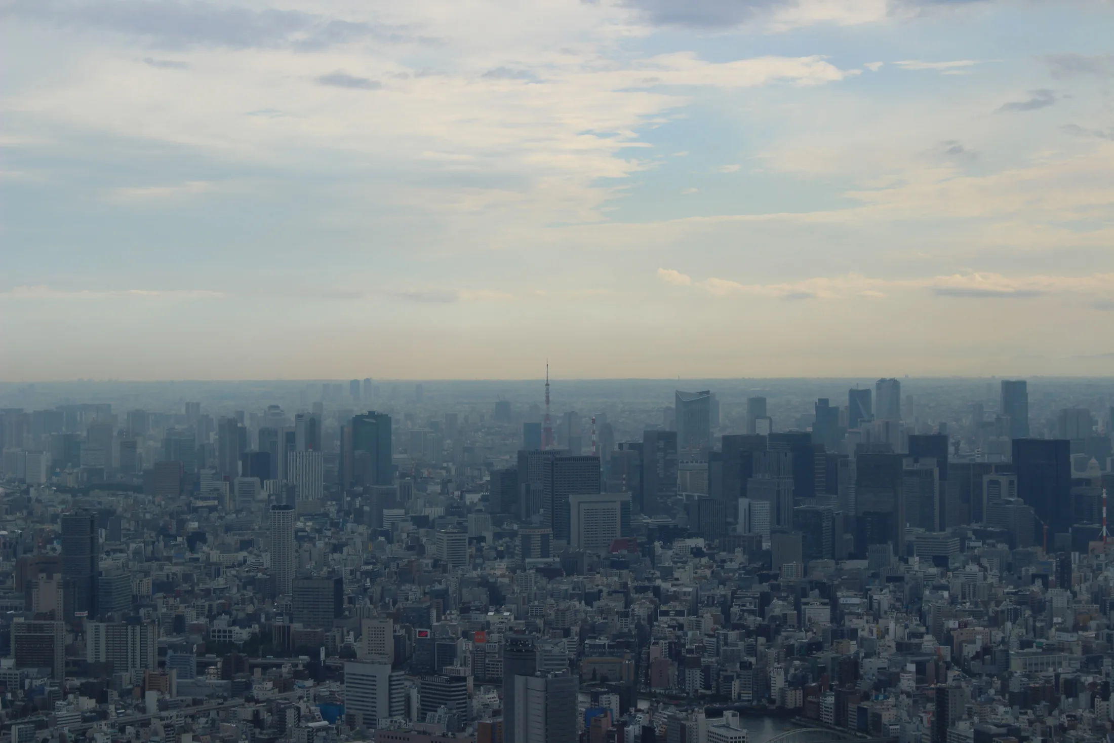 Blick über die weite Skyline von Tokyo mit dem Tokyo Tower