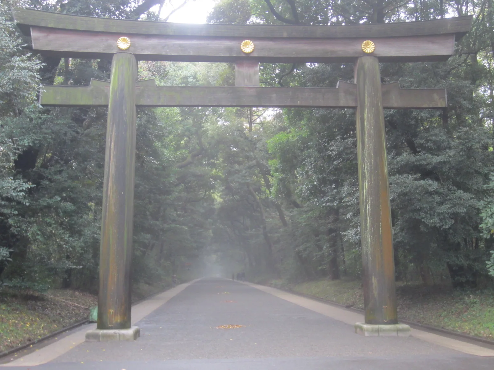Großes hölzernes Torii im Wald des Meiji-Schreins in Tokyo